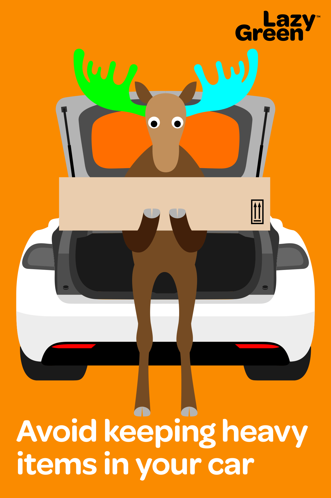 Avoid keeping heavy items in your car by moose