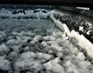 Sea Salt and Hawaiian Sea Minerals in their evaporation pan