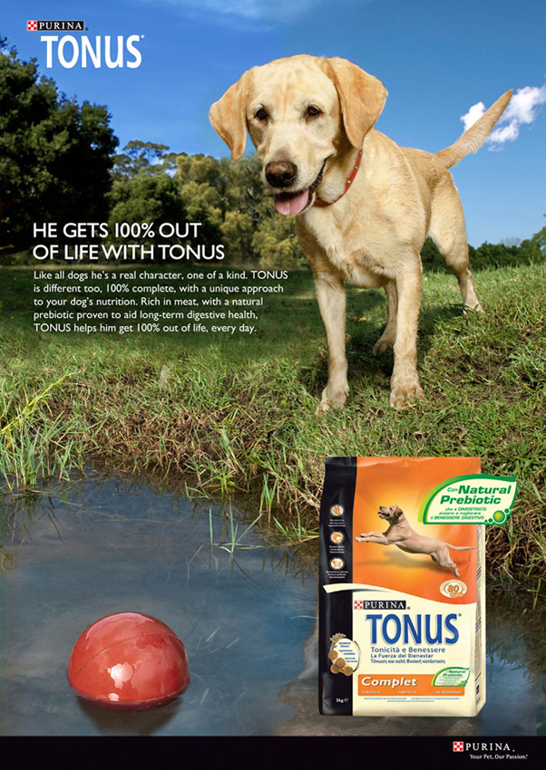 Tonus_forweb.jpg