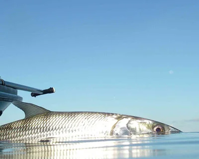 lower-keys-fishing-guides.jpg
