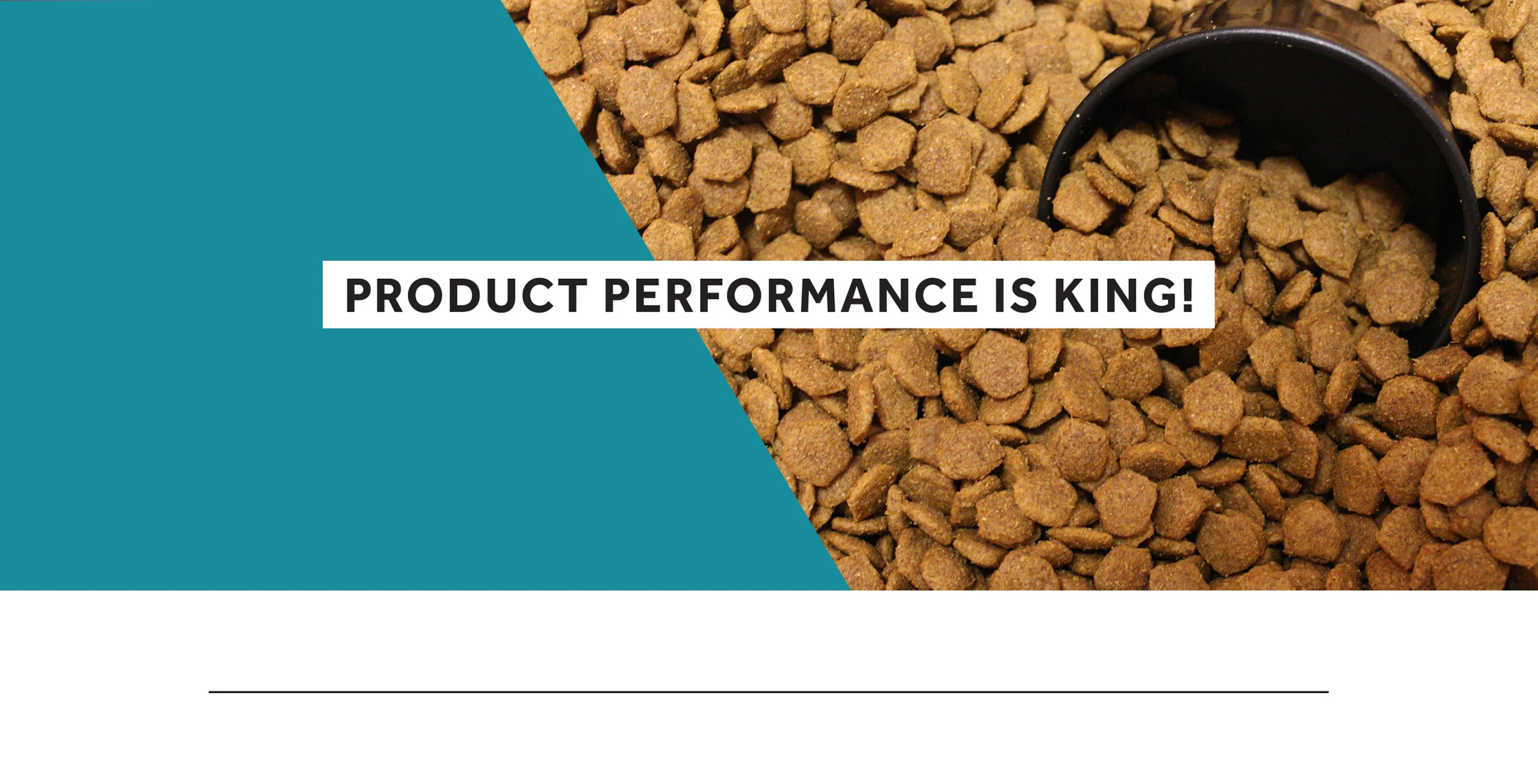 Dog Food.jpg