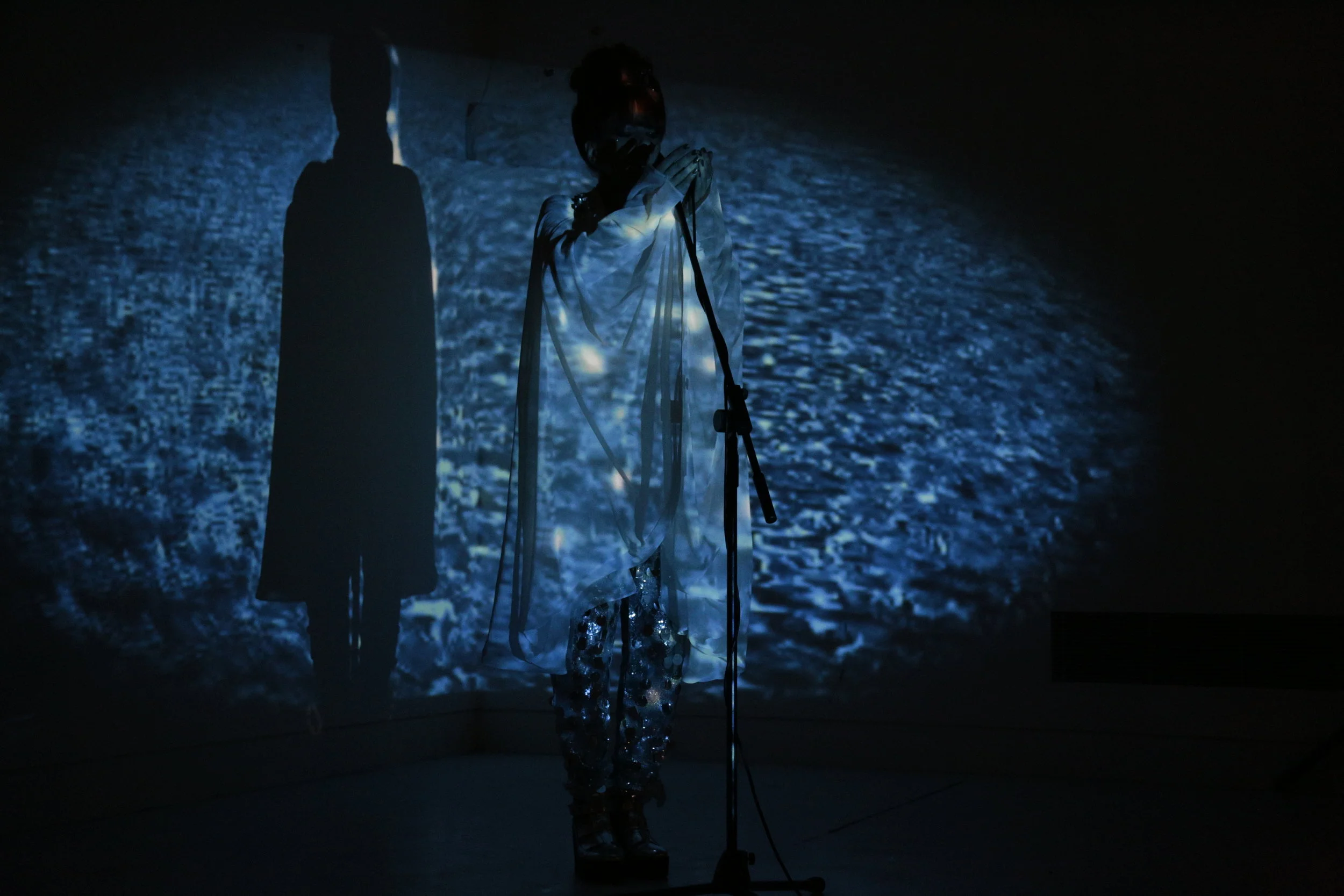 Daisy in the dark 2.JPG