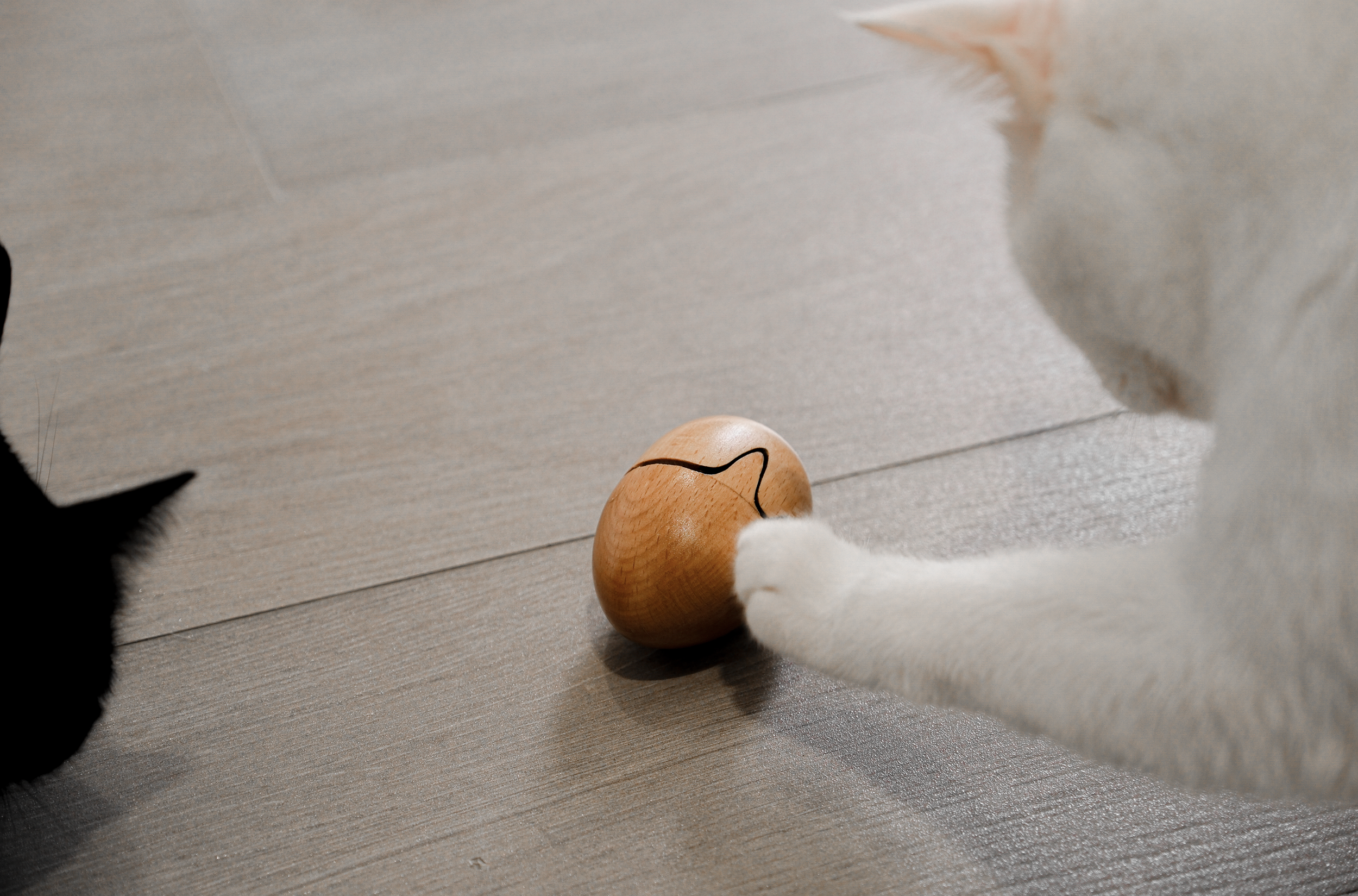 Screenshot 2025-11-30 at 3.52.04 PM.png