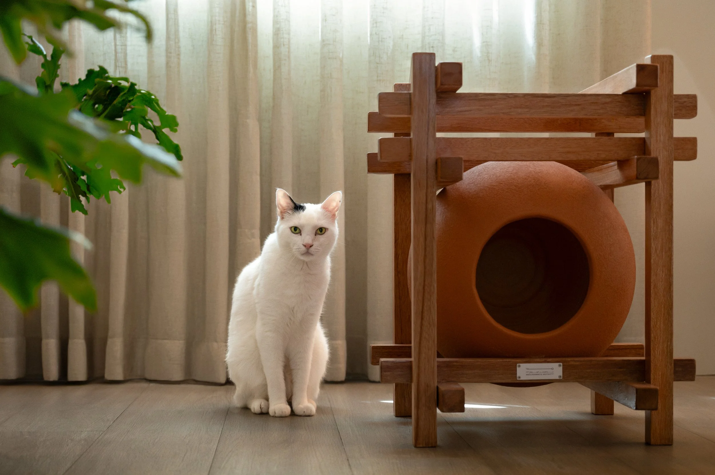 Cats House--1.jpg