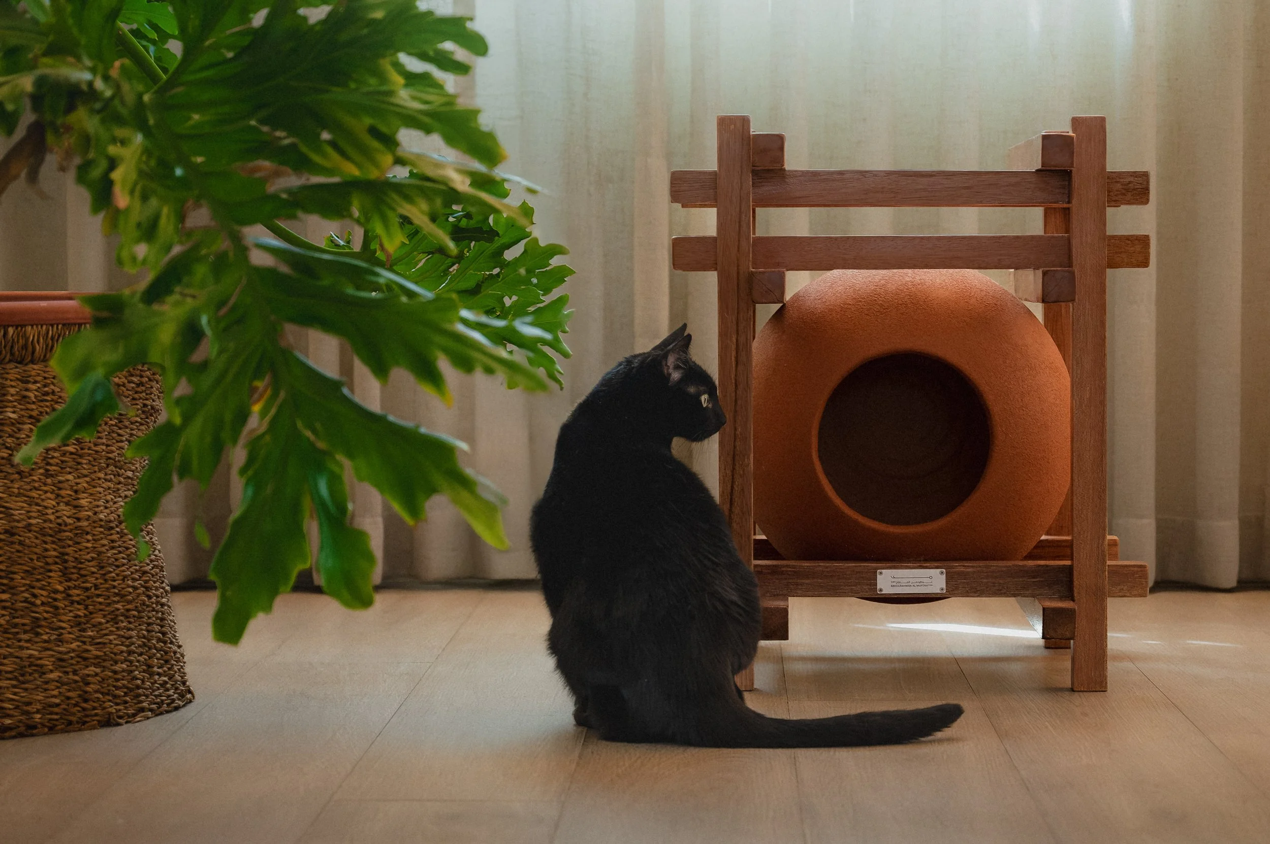 Cats House--3.jpg
