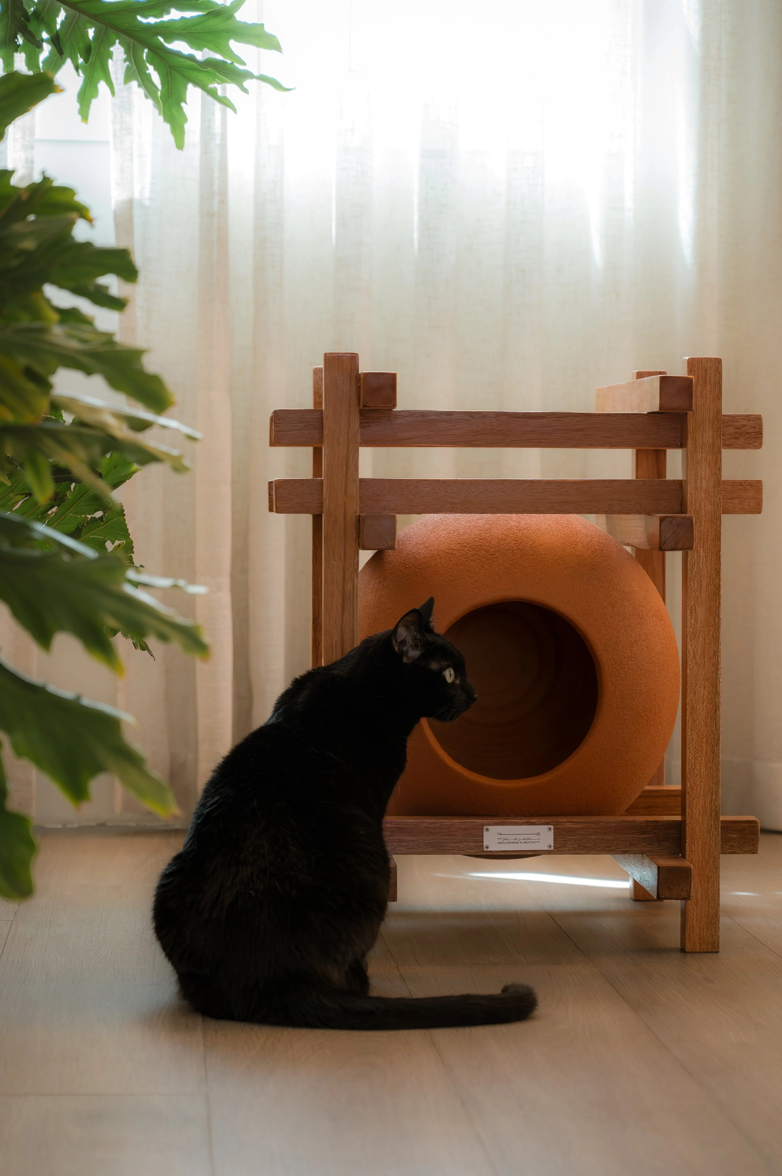 Cats House--4.jpg