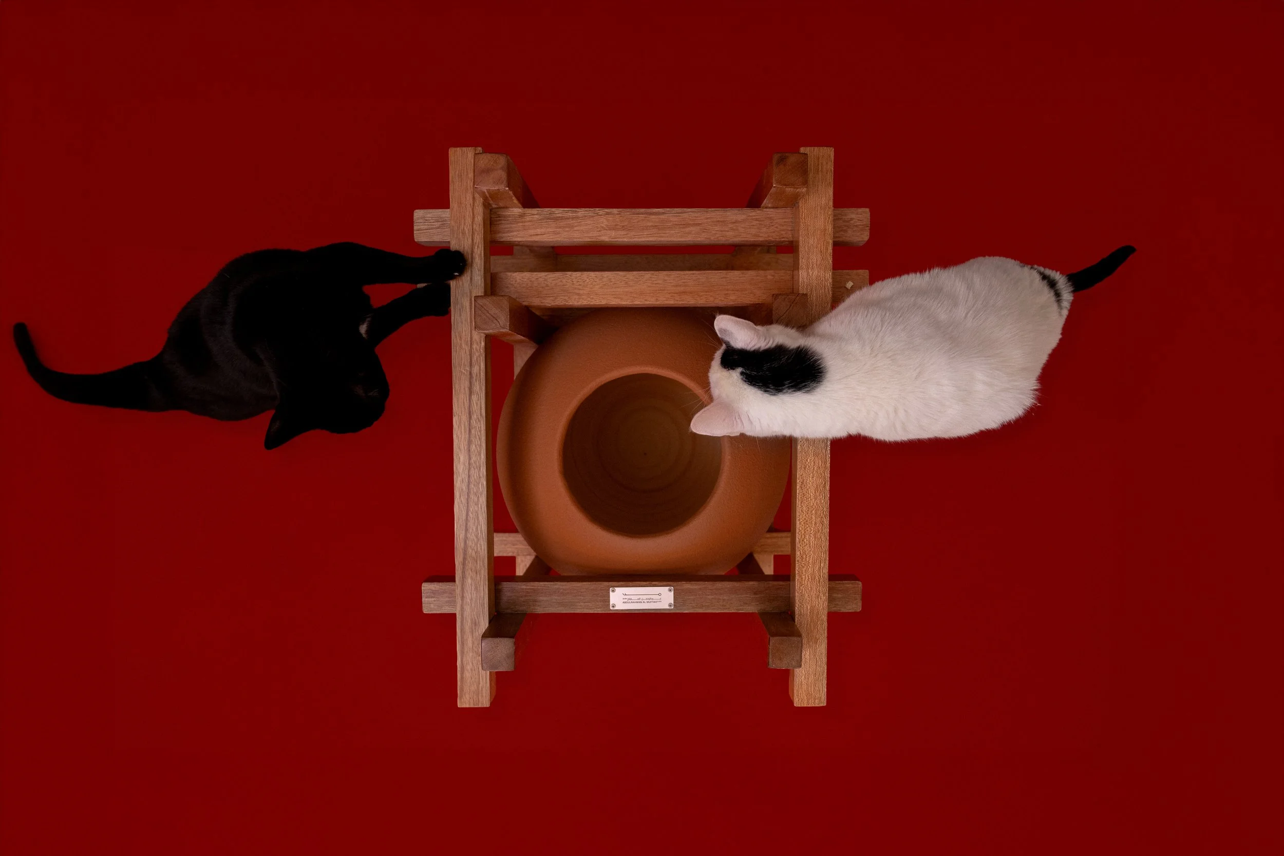 Cats House--6.jpg