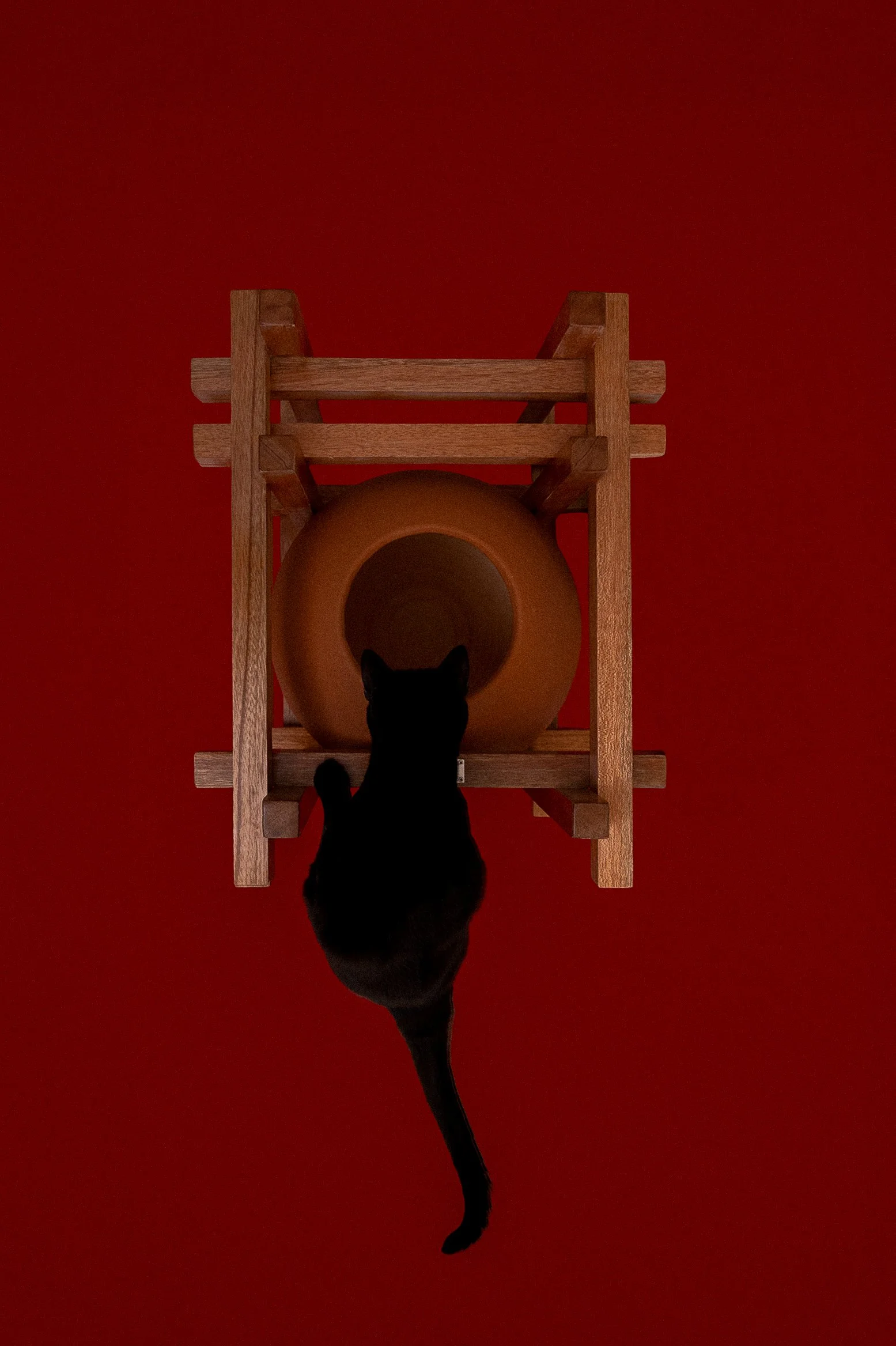 Cats House--7.jpg