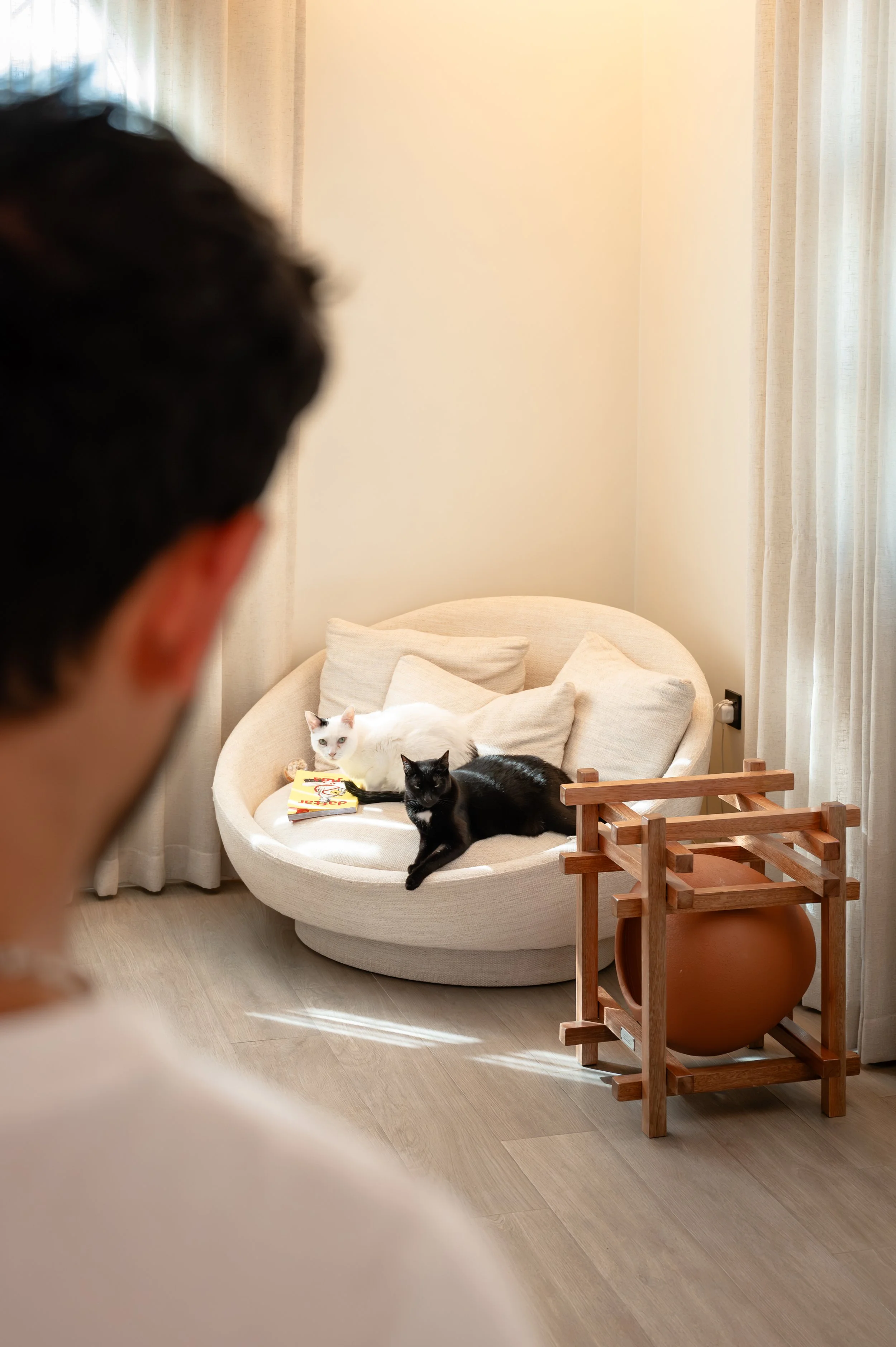 Cats House--15.jpg