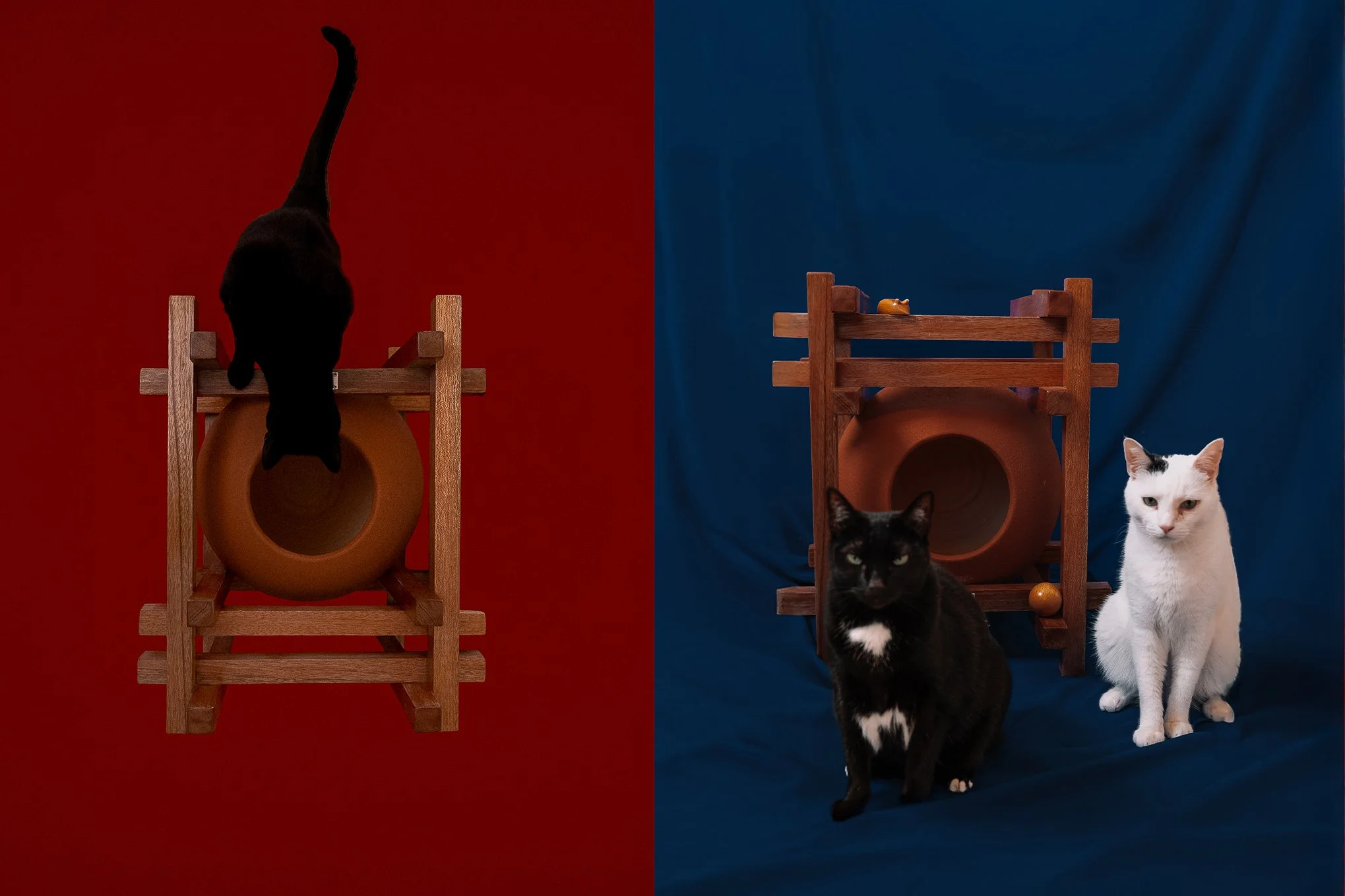 Cats House--19.jpg