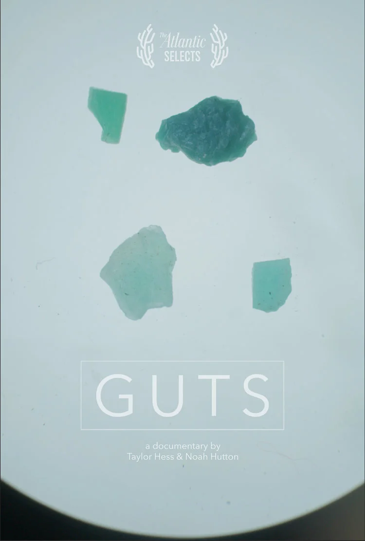 Guts_Poster.jpg
