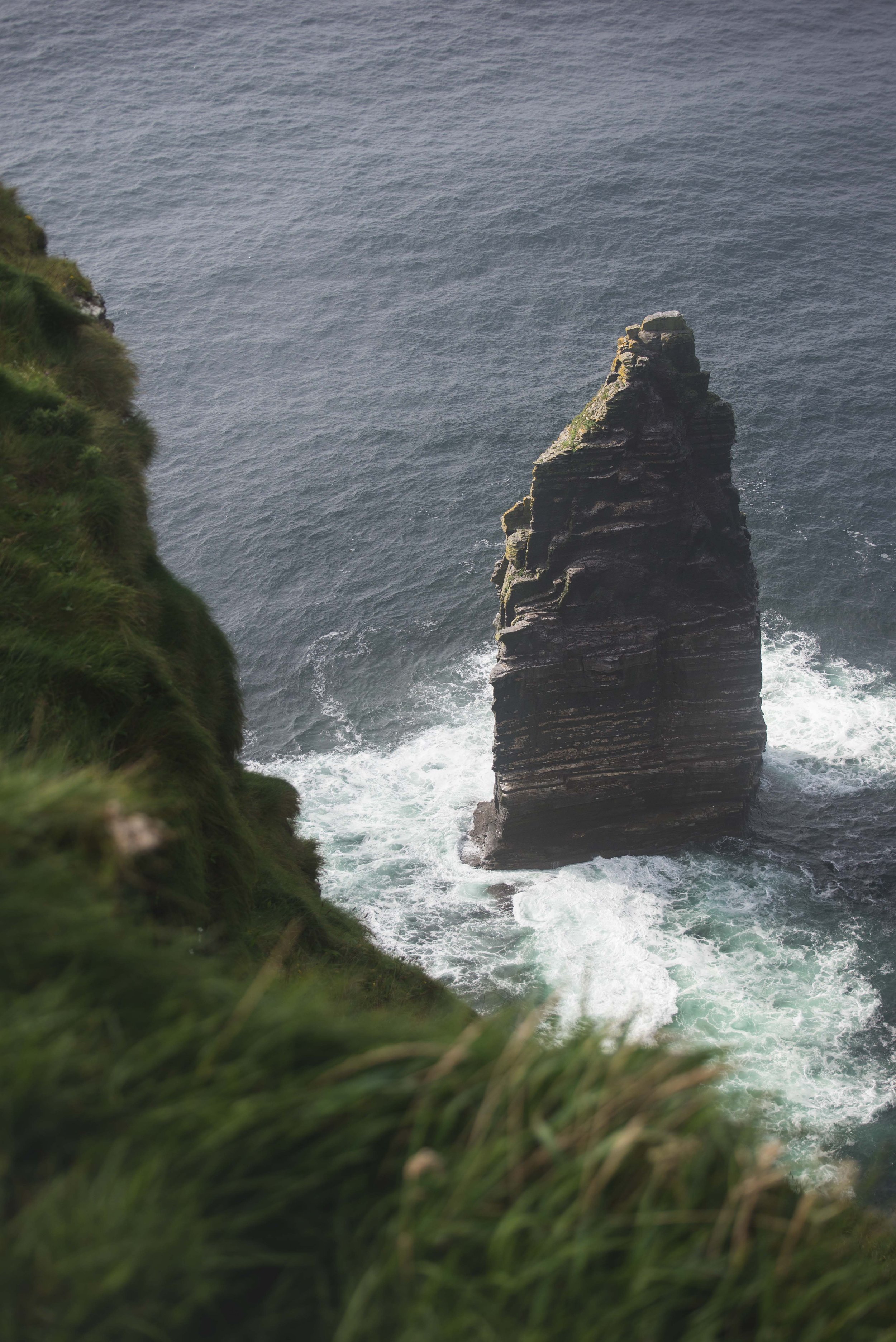 _DSC8030.jpg