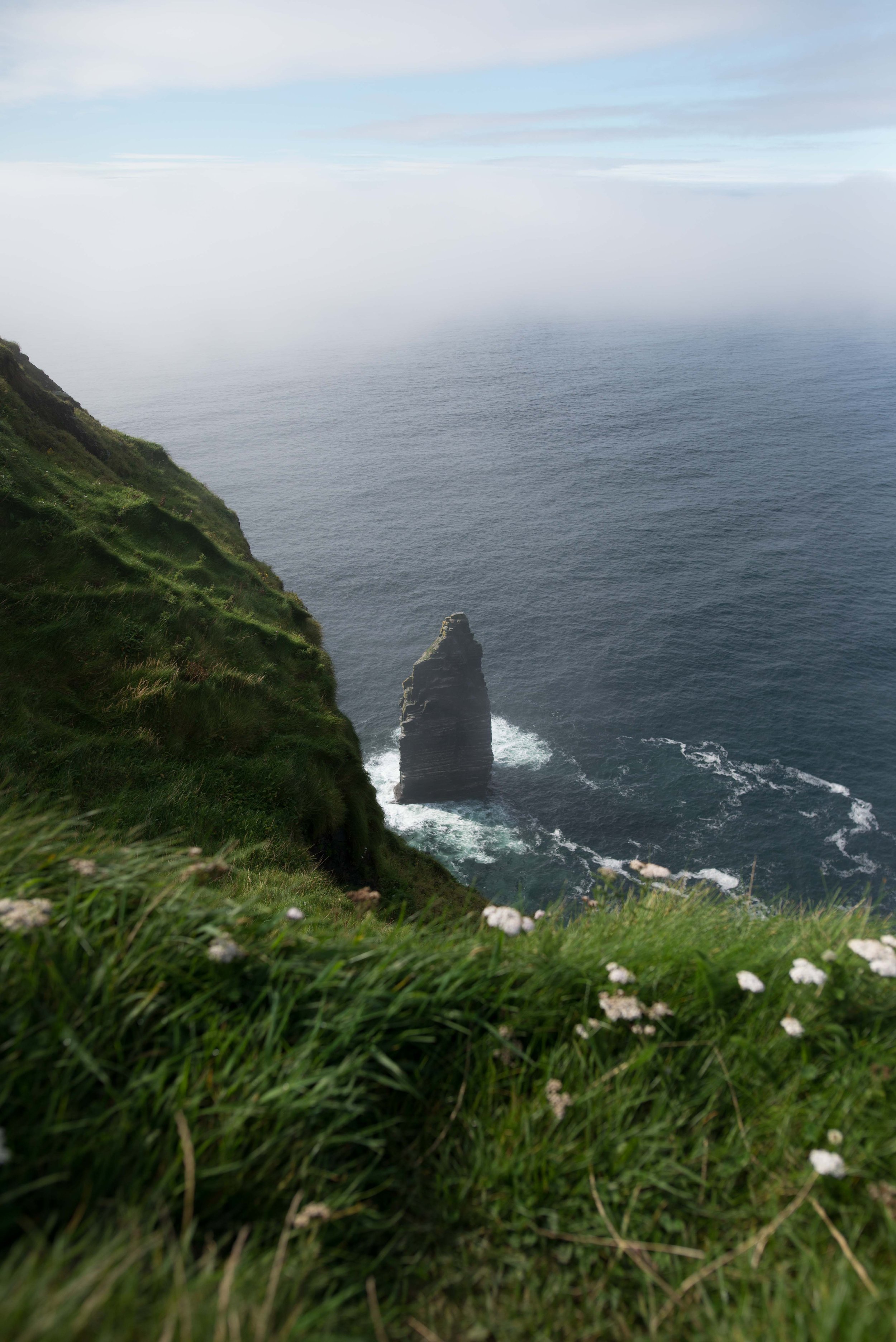 _DSC8042.jpg