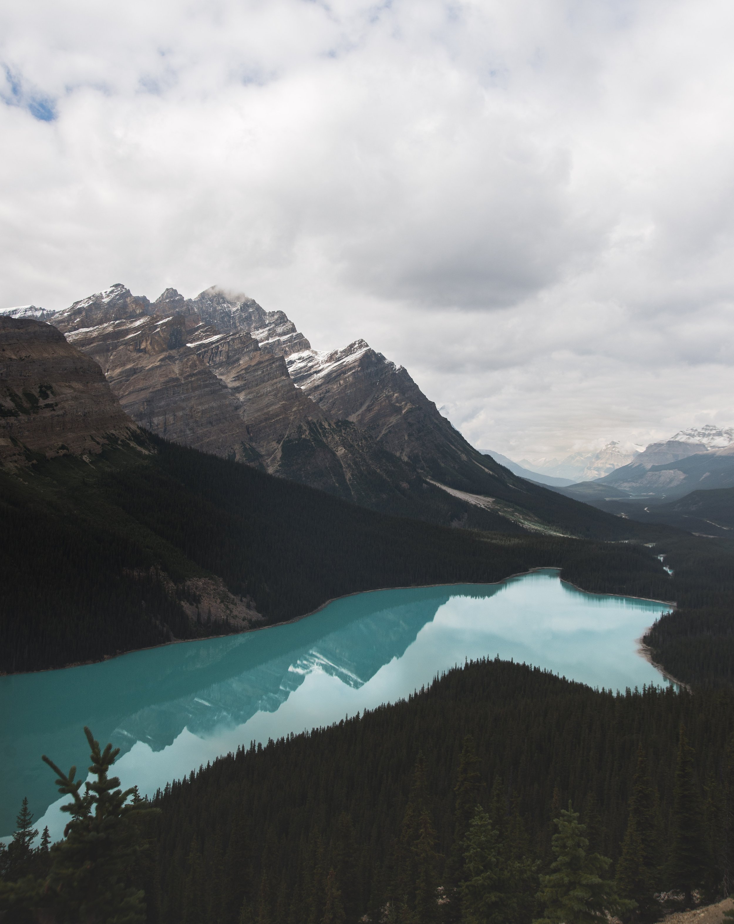 _DSC6285.jpg
