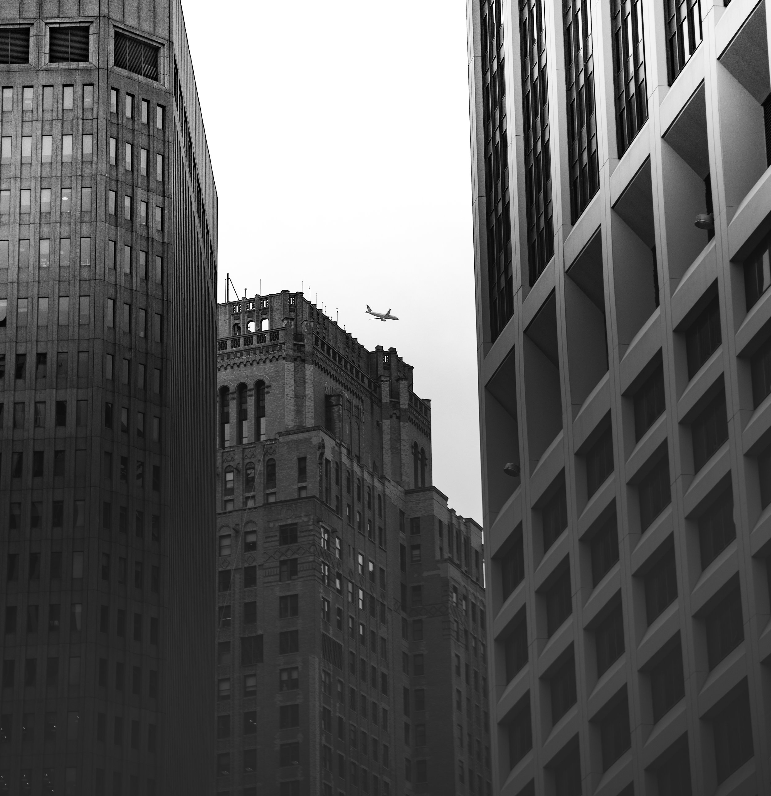 750_4478.jpg