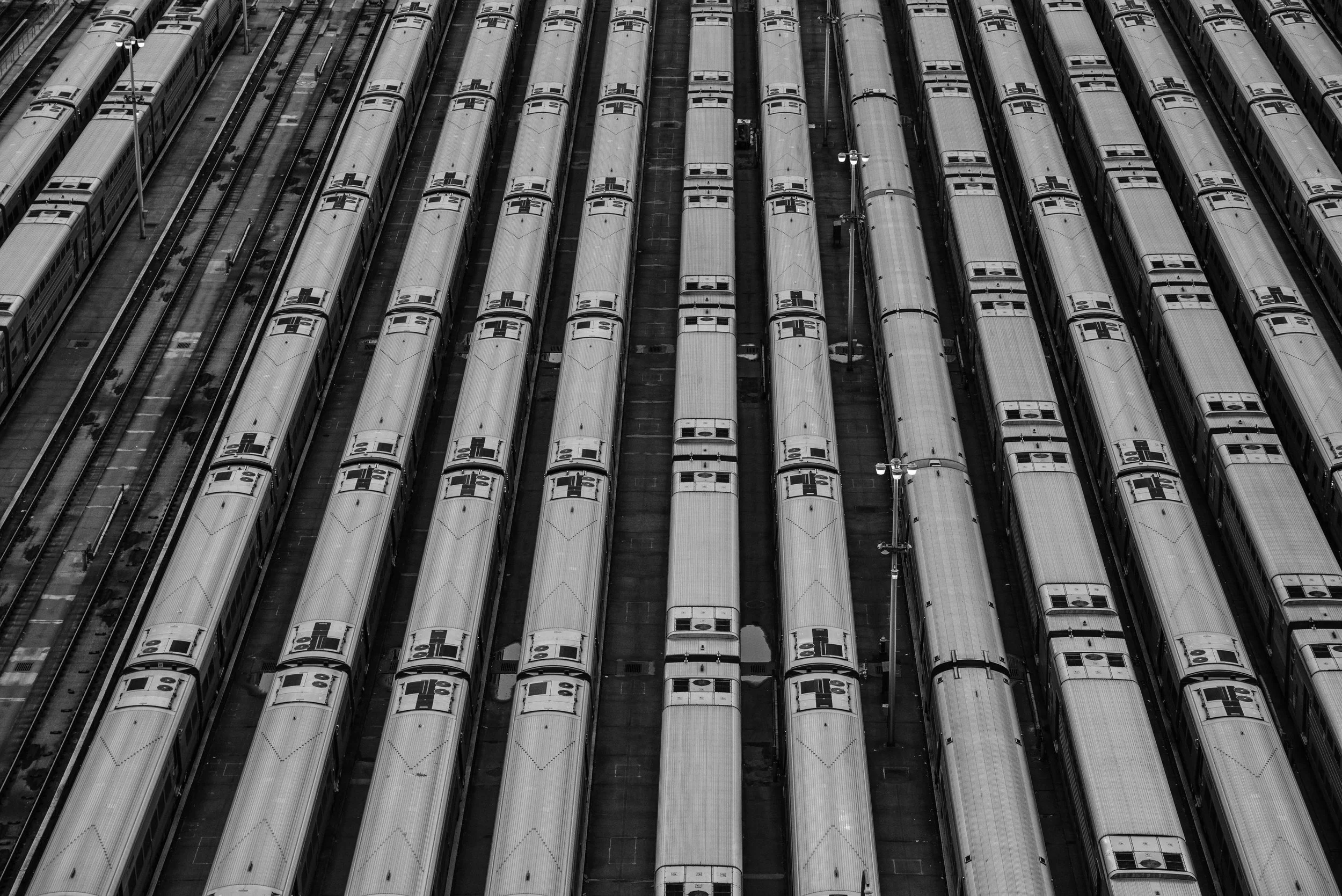 750_3767.jpg