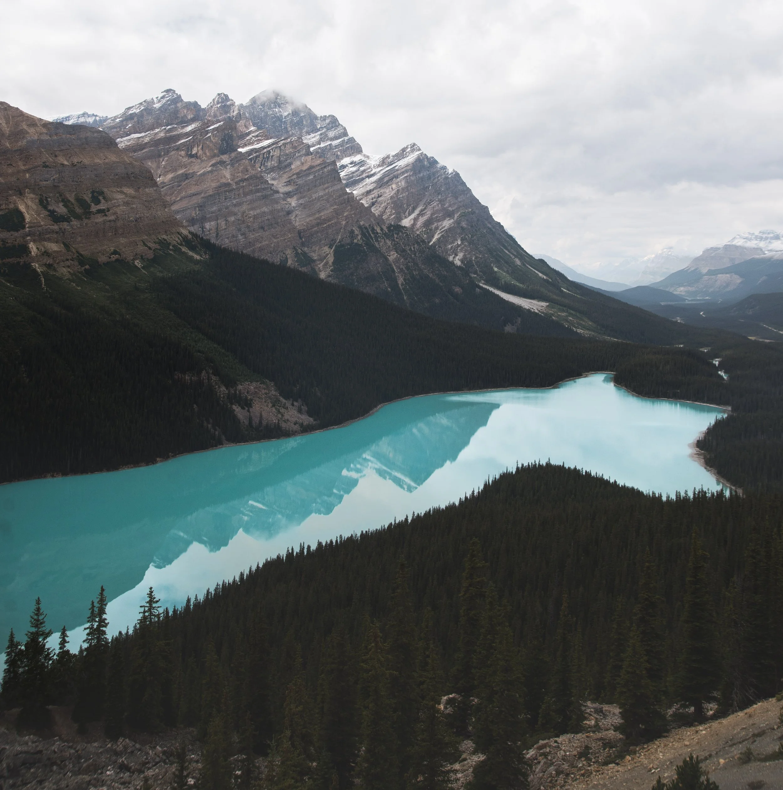 _DSC6250.jpg