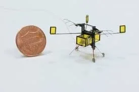 Bug Life: These 5 Robots Were Inspired by Insects
