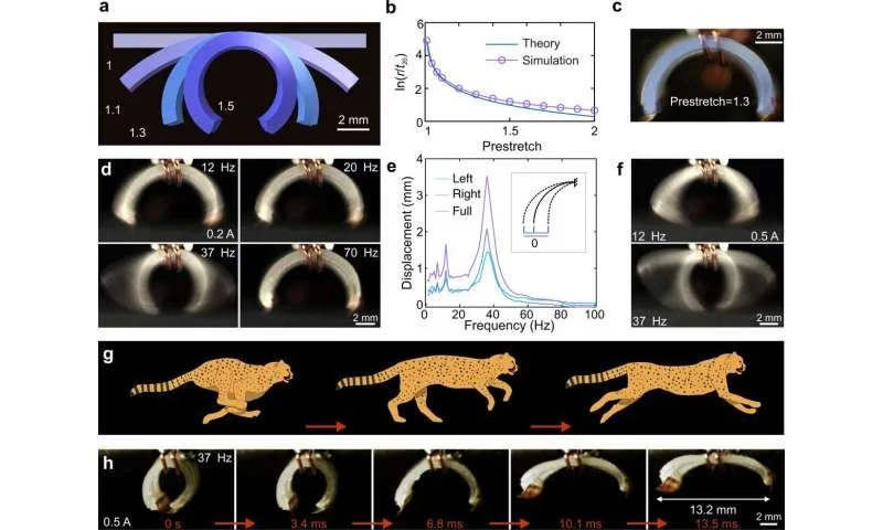 Tiny Robots Move Faster Than a Cheetah