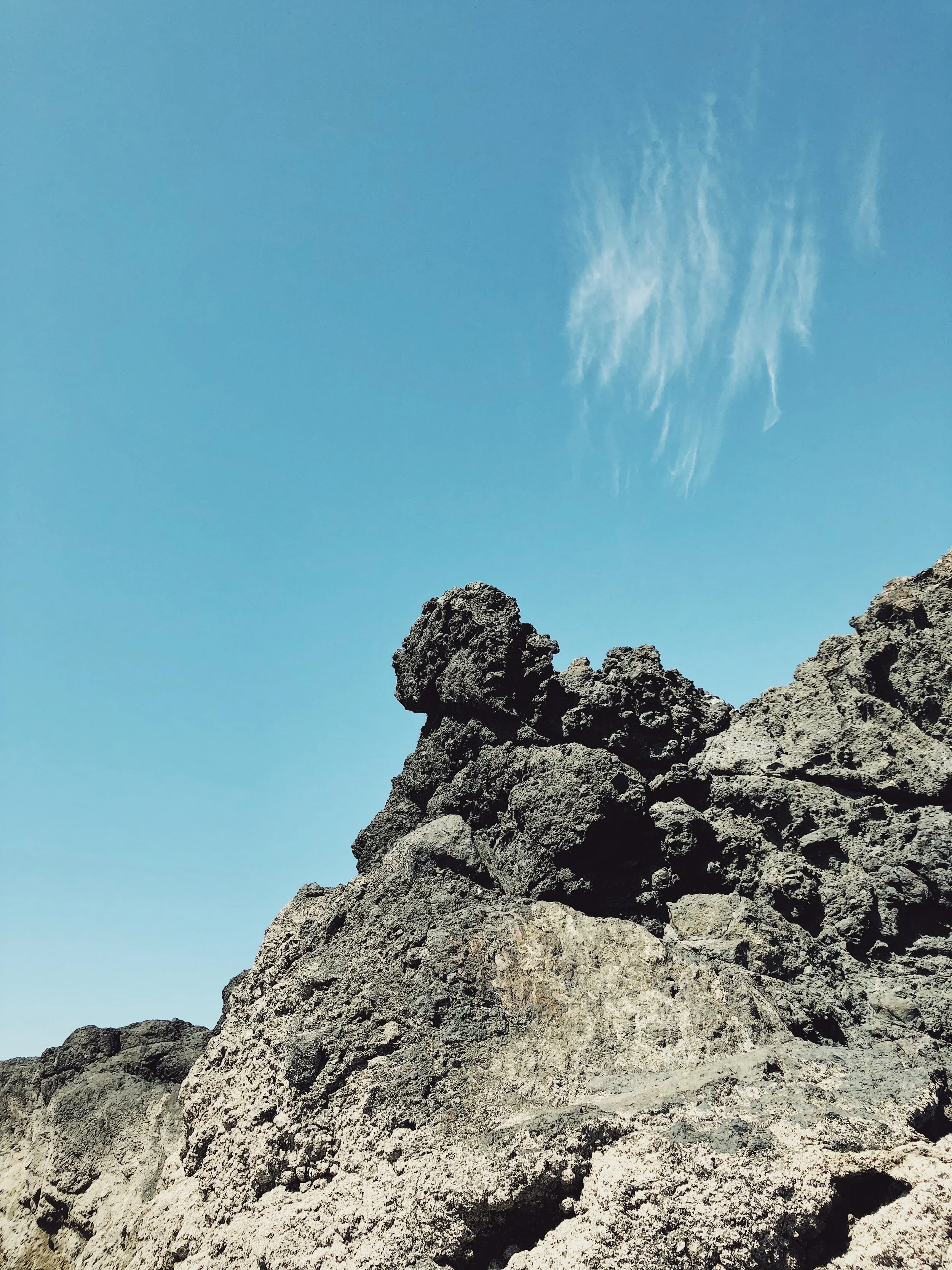 The Davidic Covenant 