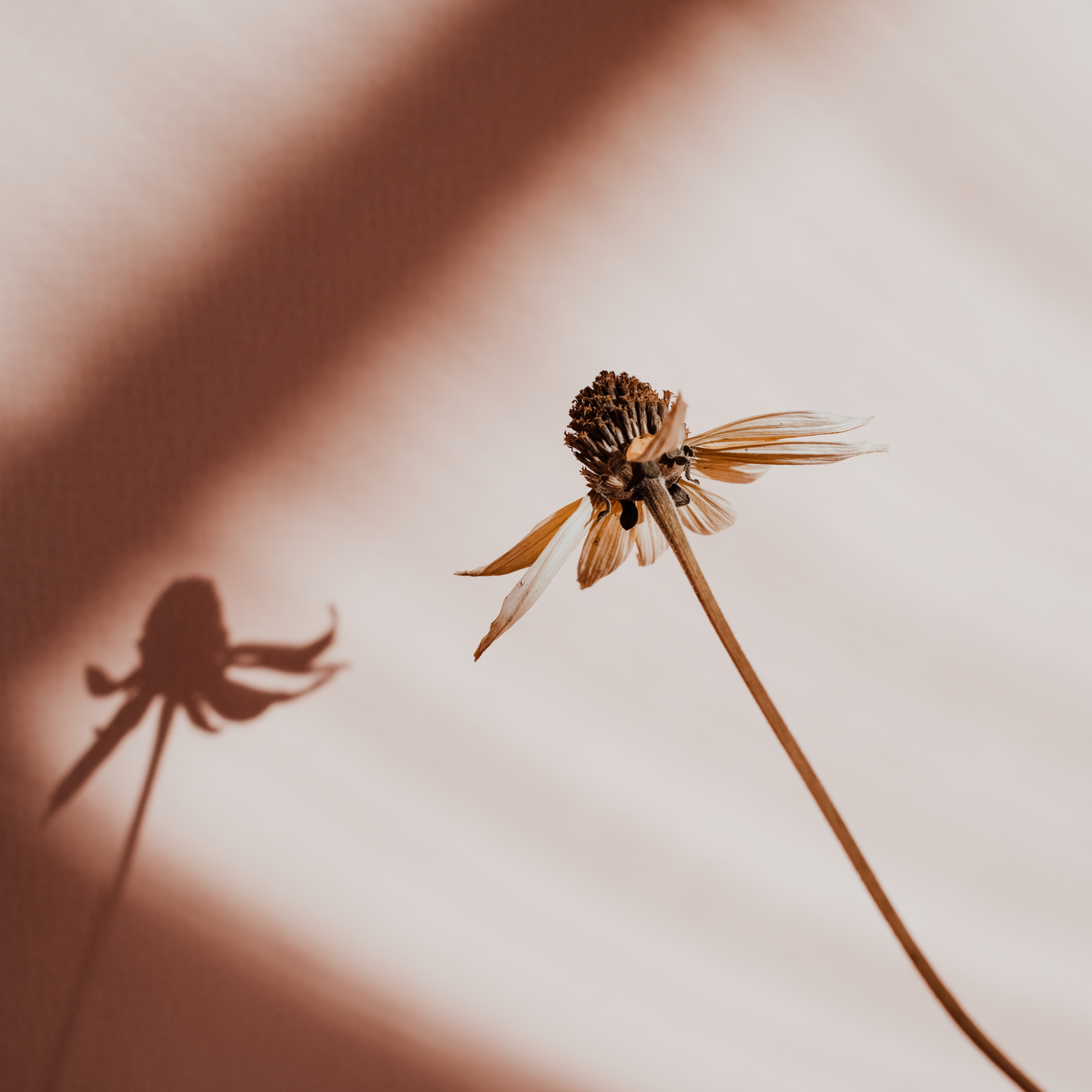 Imposing Grandeur Radio