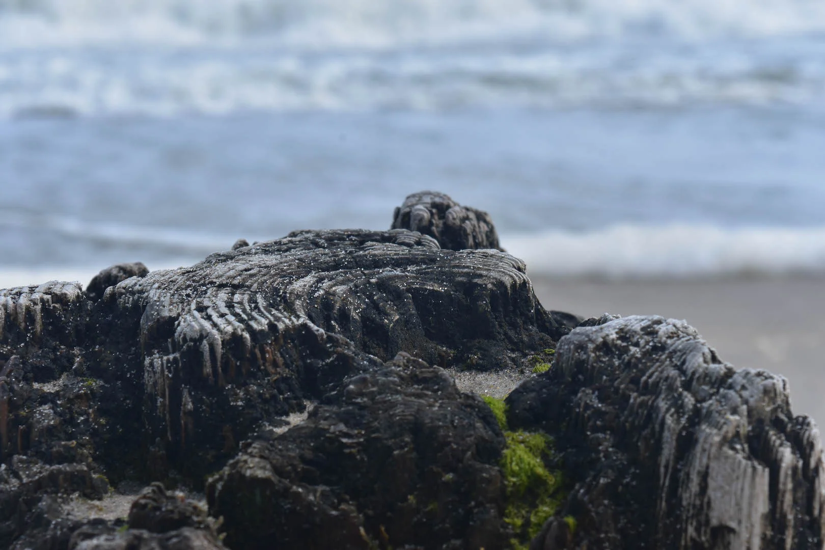 beach rock.jpg