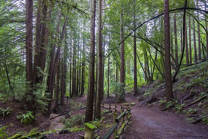 Blue-Collar Guide to the East Bay's Most Scenic Trails