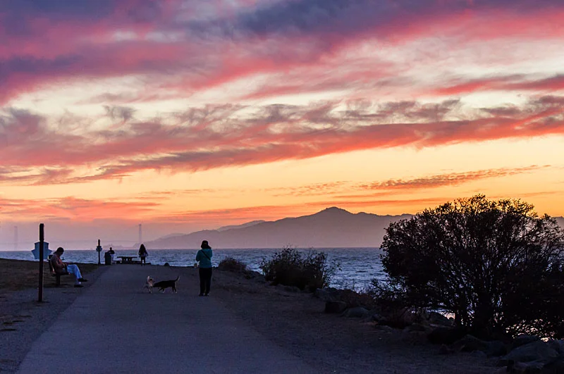 The Bay Trail at Point Isabel in Richmond. Photo: SF Bay Trail