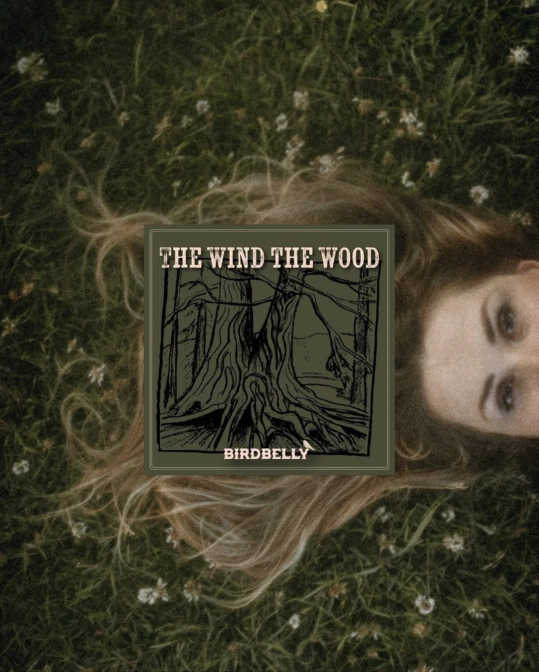 🌲 The Wind The Wood — out now 🌬️
I have these little cup coasters made from tiny slices of a small tree- each one a glimpse into time. Sitting in the hazy early hours, sipping my coffee, I got to thinking how every ring tells a story of grow
