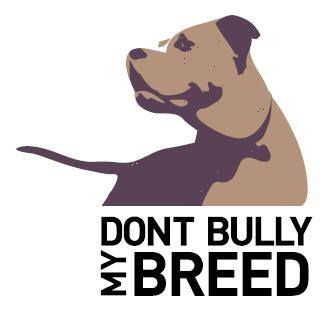 AMERICAN BULLY Xl Slogans Dont Bully My Breed Digital Download 