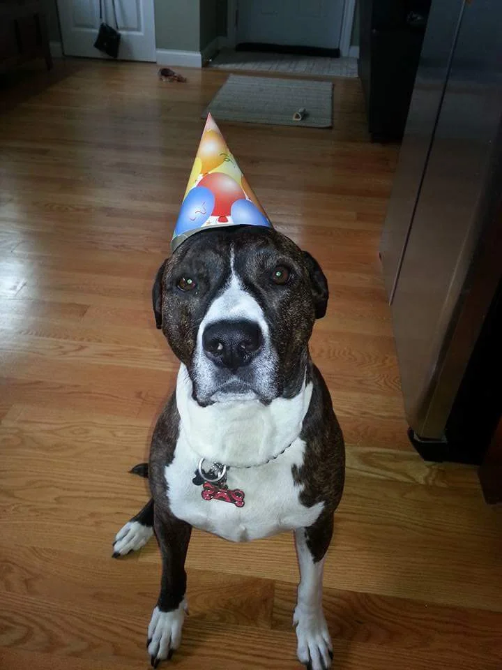 MARGE (FKA Meka), Adopted 2015