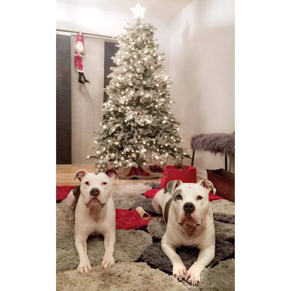MJ, Adopted 2015