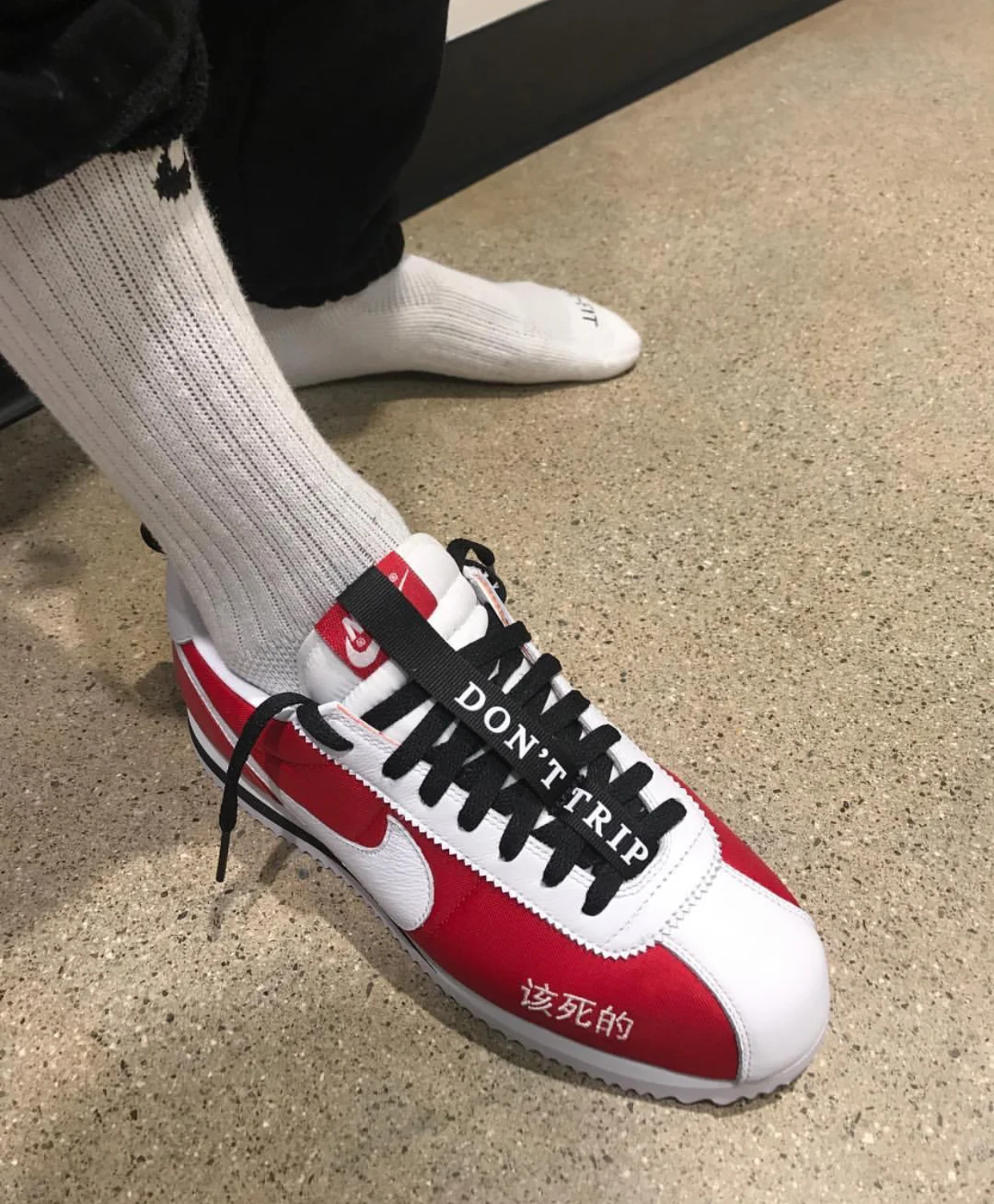 cortez collab