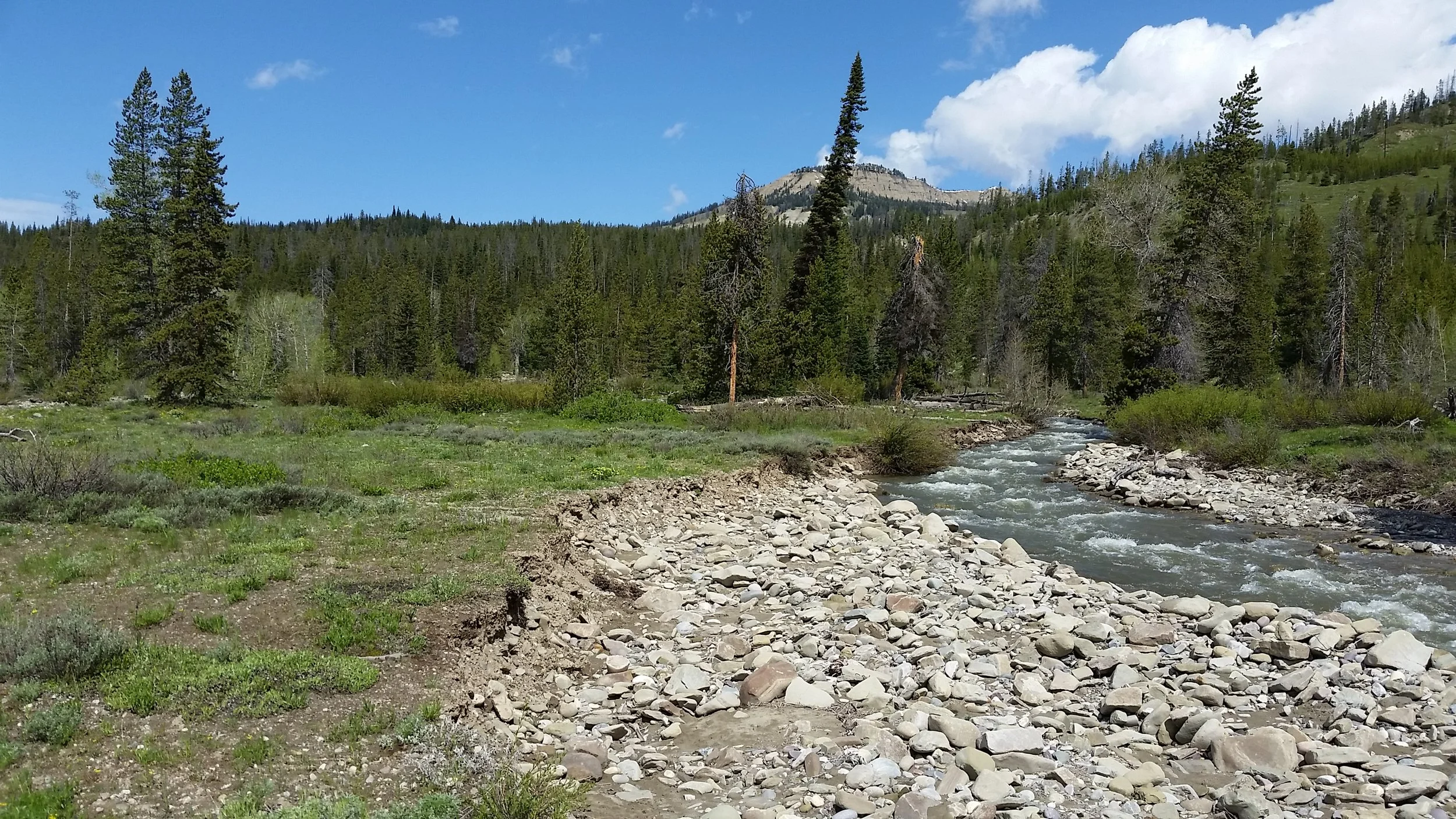 The mountain stream