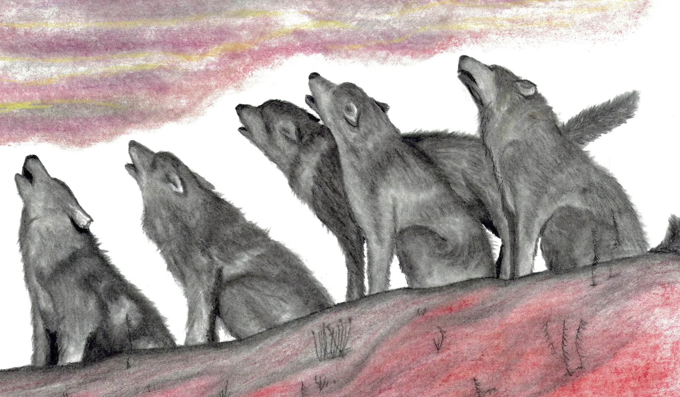 TWILIGHT RENDEZVOUS, Charcoal with Pastel Accent, 20"x12", Original to be auctioned at March Gladness. 50 Prints. Framed Prints $100. Prints $75