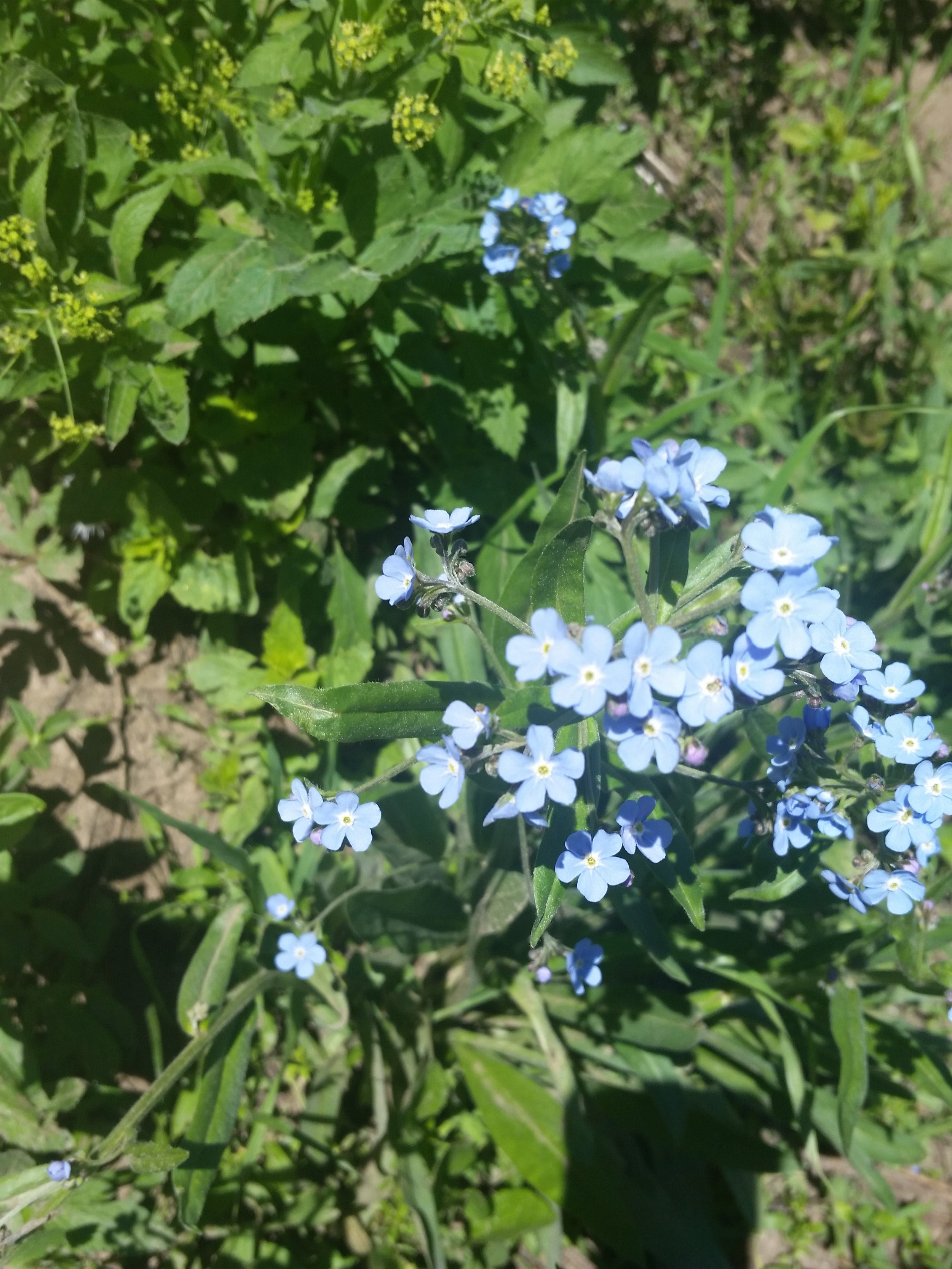 20150613_130143.jpg
