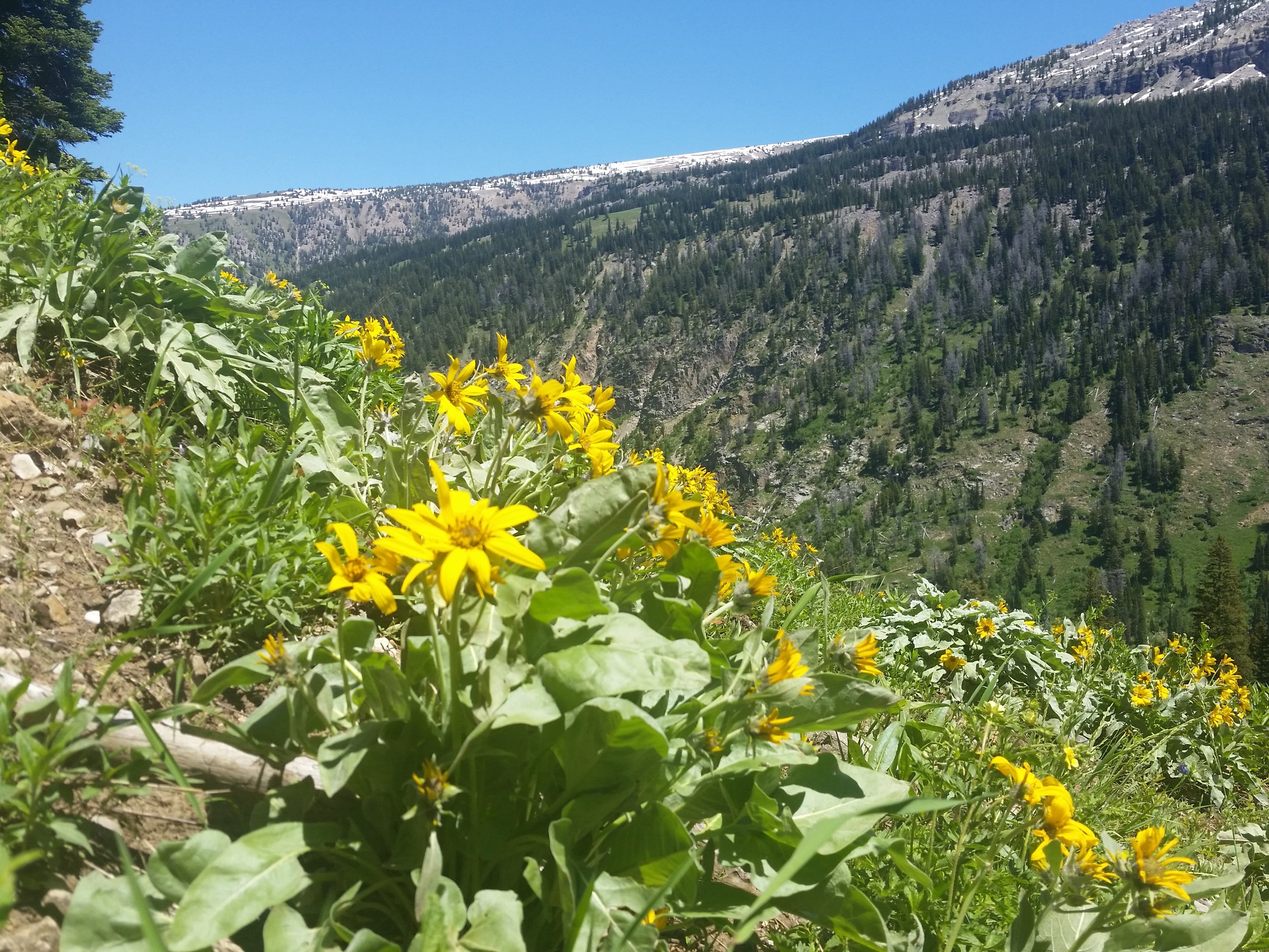 20150613_130238.jpg