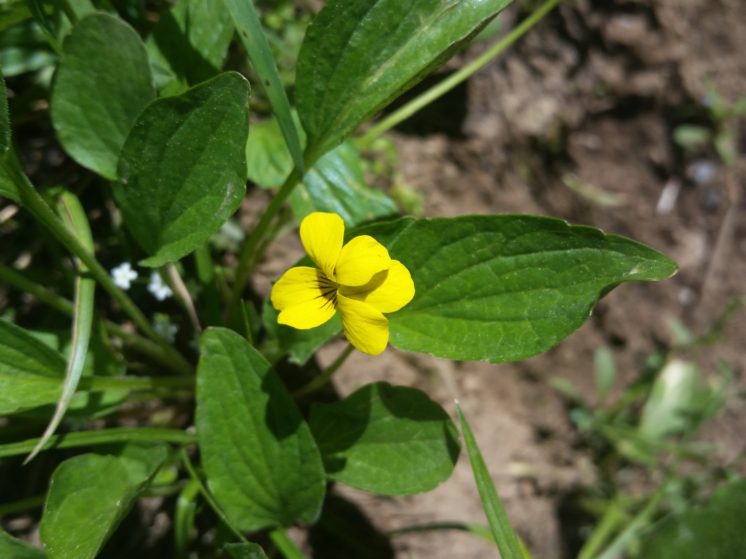 20150613_124033.jpg