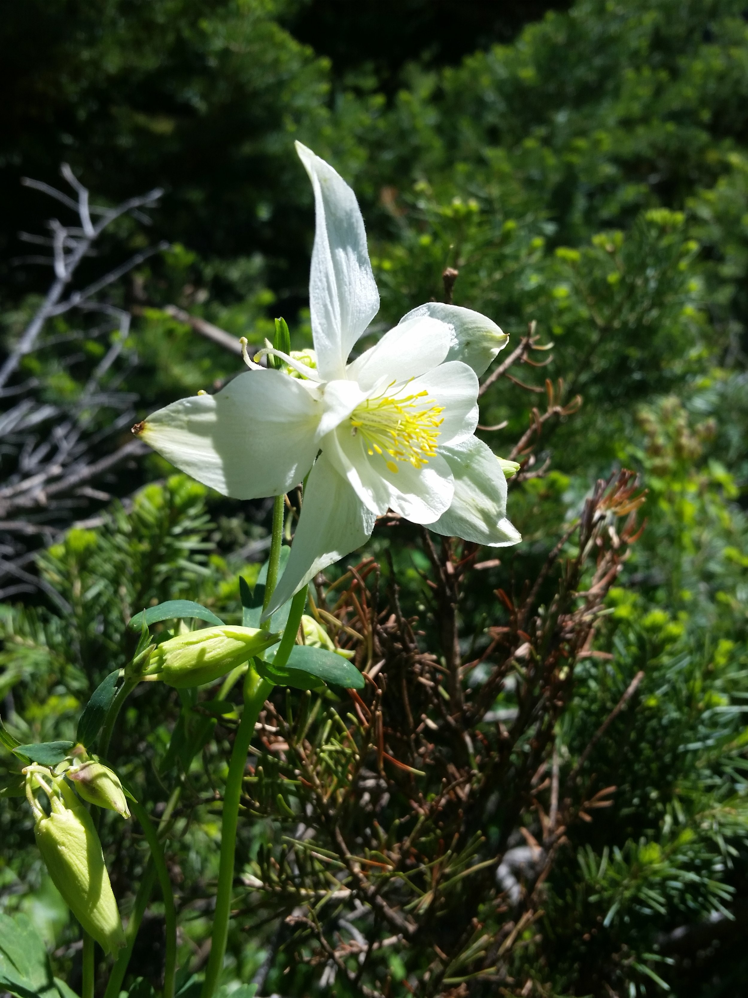 20150613_122144.jpg