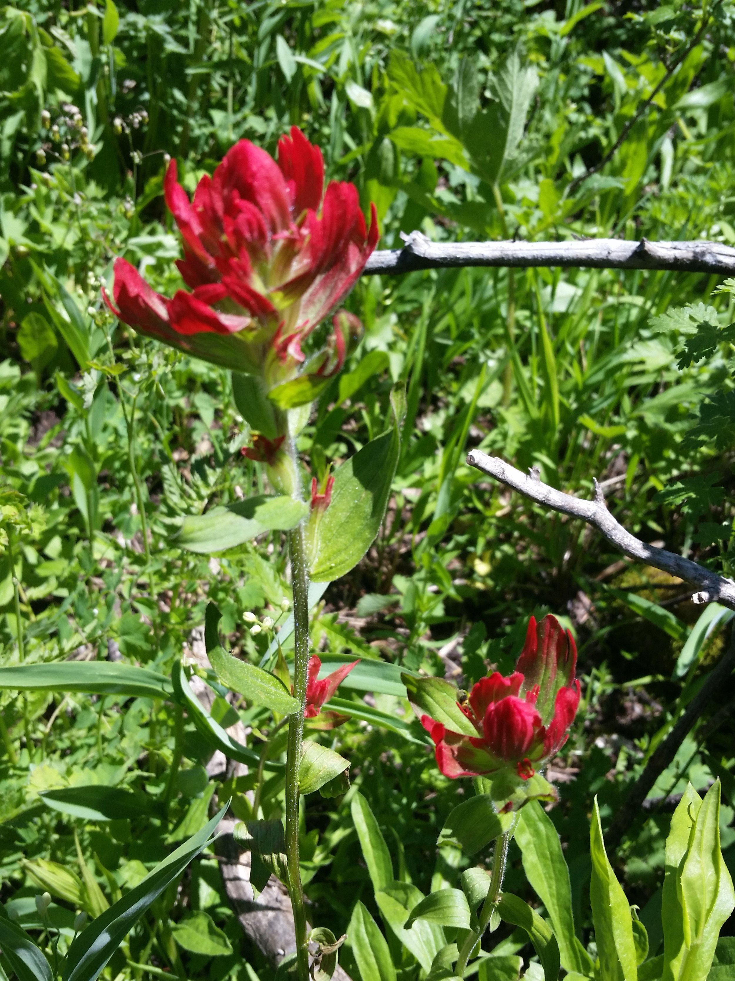 20150613_122910.jpg