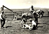 CS Ranch