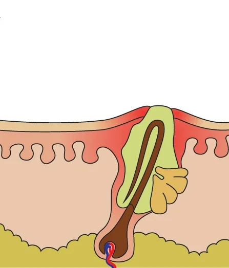 Bumpcology New Page