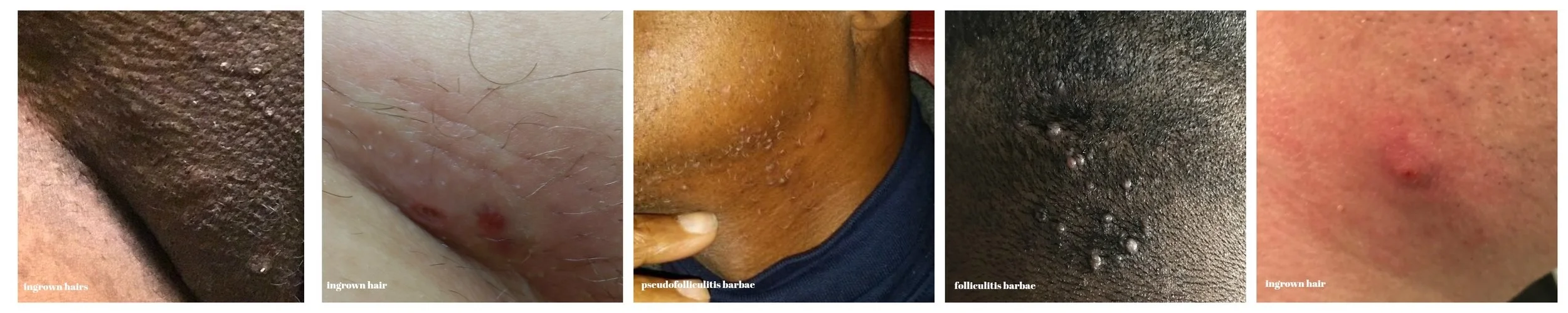 PicMonkey Image18.jpg