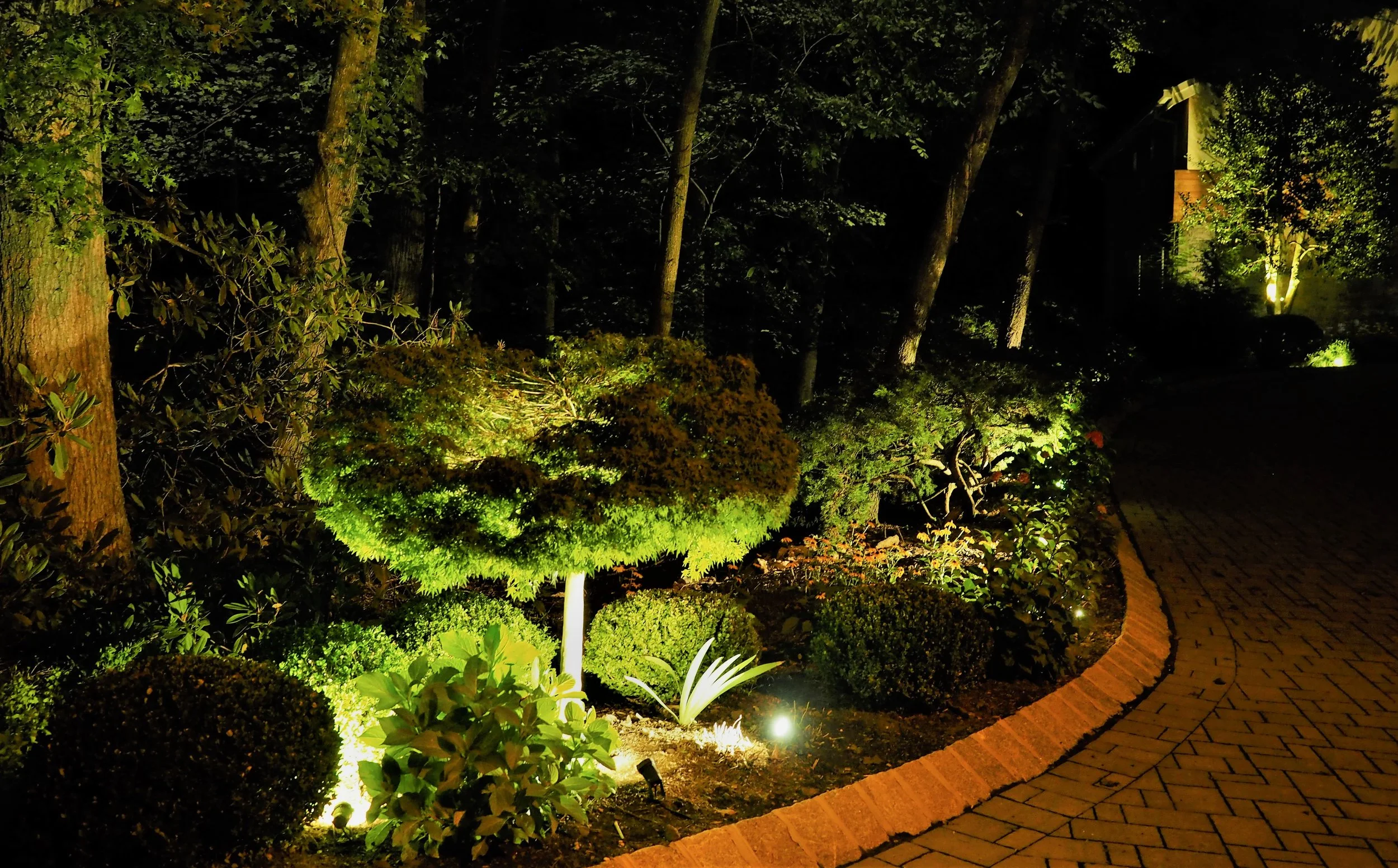 Warren Uplighting.jpg