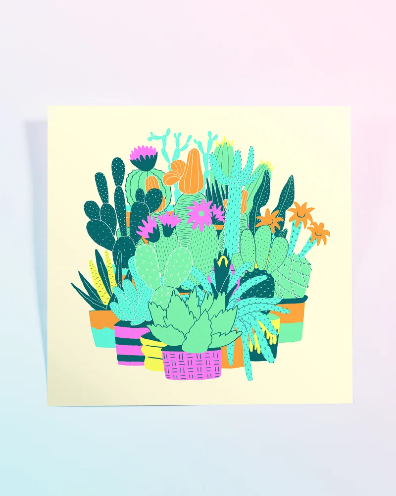 ColourfulSucculents.jpg