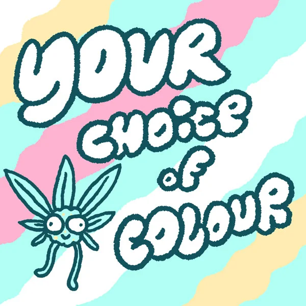 3.cOLOUR.jpg