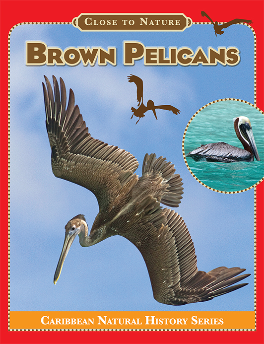 Brown-Pelicans-Cover-72.jpg