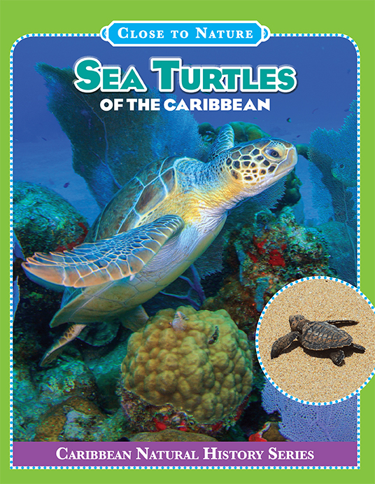 Sea-turtles-caribbean-cover-web.jpg