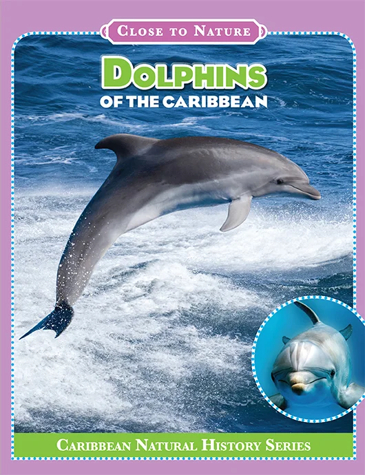 Dolphins Of The Caribbean