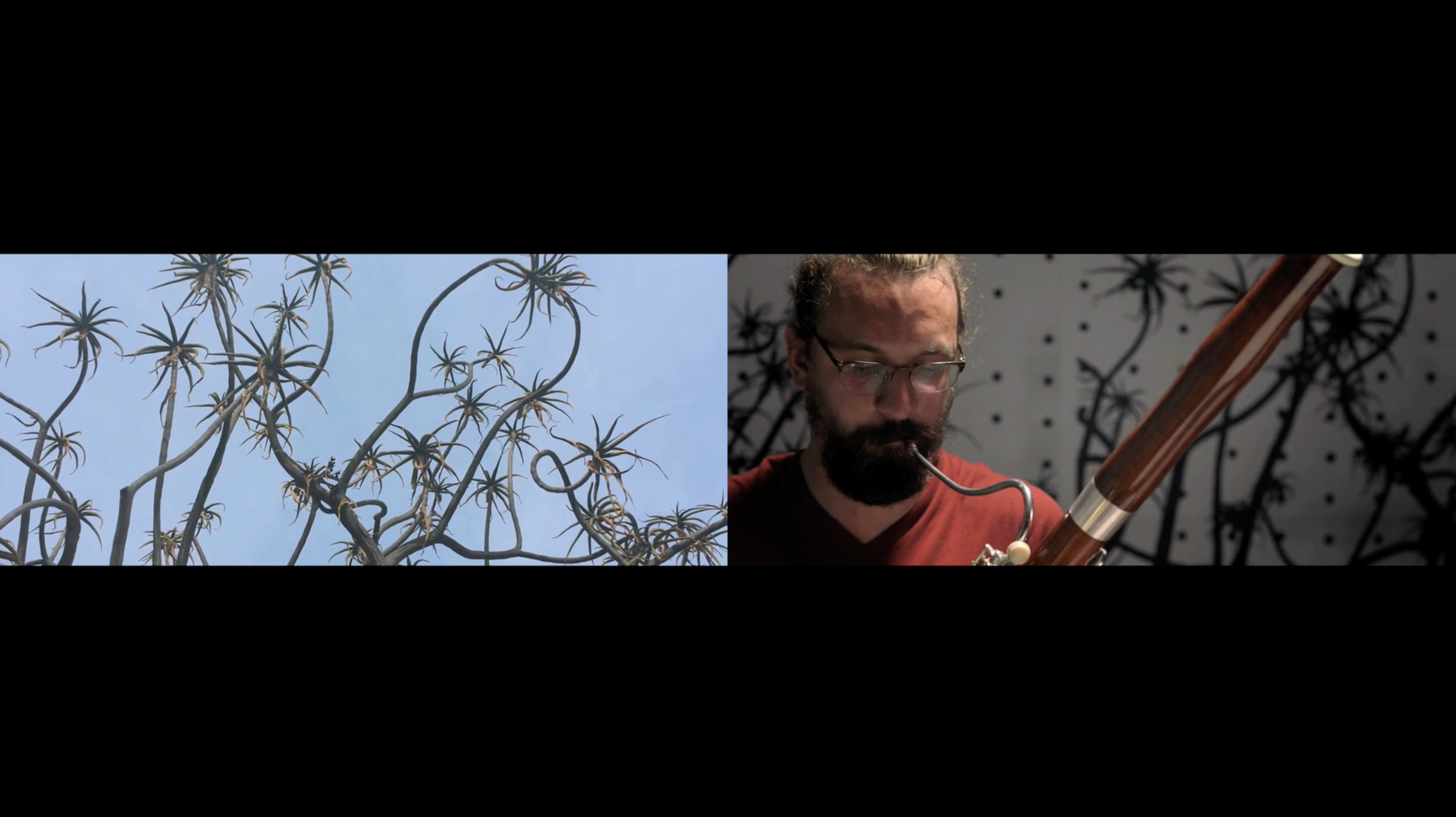 Alison O’Daniel, video still from The Tuba Thieves: Nyke and the New York Kite Enthusiasts (2015)